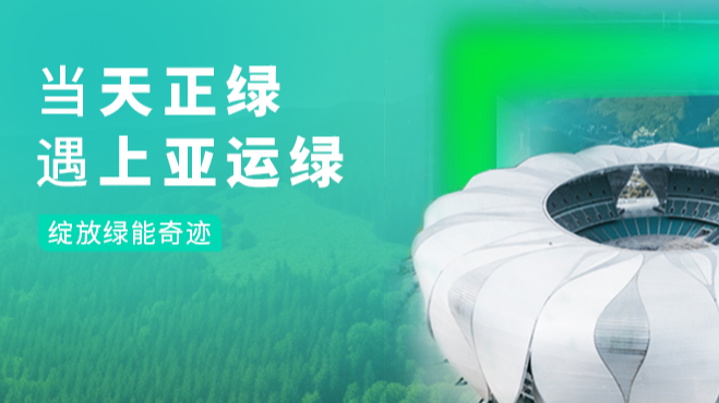 当w66给利老牌绿，遇上亚运绿……